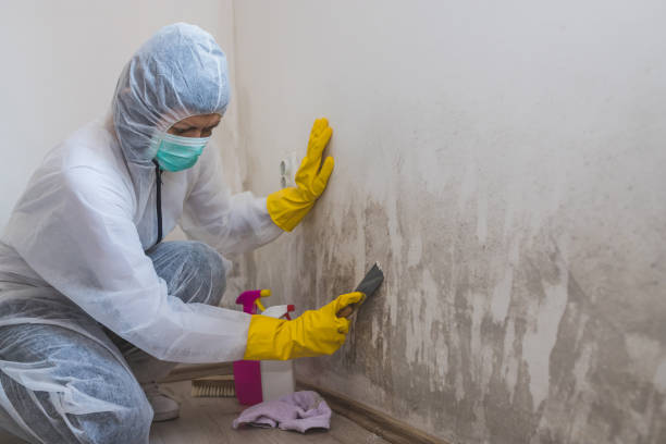 Best Industrial Mold Remediation  in Sand Lake, MI